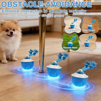 Interactive Dog Toys, 2026 Upgraded Motion Activated Automatic Rolling Ball Toys - Image 4