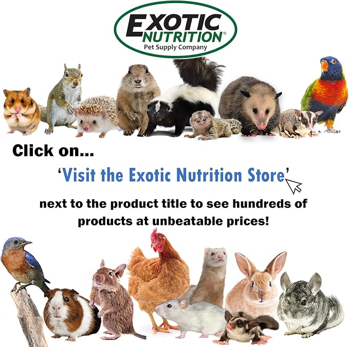 ZooPro Pet Travel Cage - Image 9