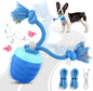 Interactive Dog Toys by Unknown