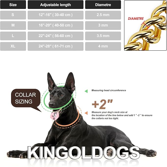 Stainless Steel & 18K Gold Dog Chain Collar - Image 6
