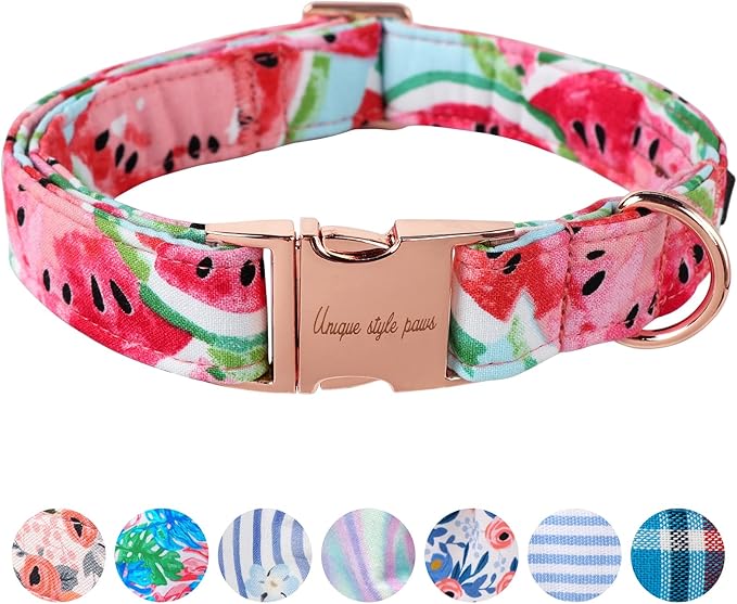 Unique Style Paws Dog Collar Metal Buckle Watermelon Cute Collar by Uniquestylepaws