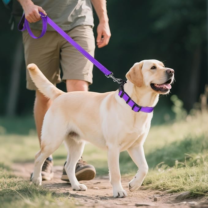 Joytale Reflective Dog Collar, Soft Neoprene Padded Breathable Nylon Pet Collar - Image 6