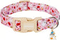 Halloween Dog Collar, Fall Dog Collars by Unknown
