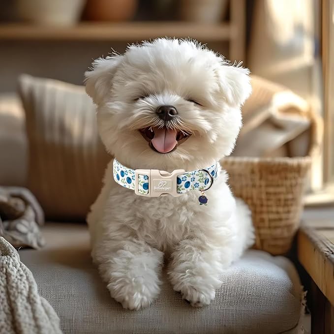Spring/Summer Dog Collar for Medium Dogs - Image 5