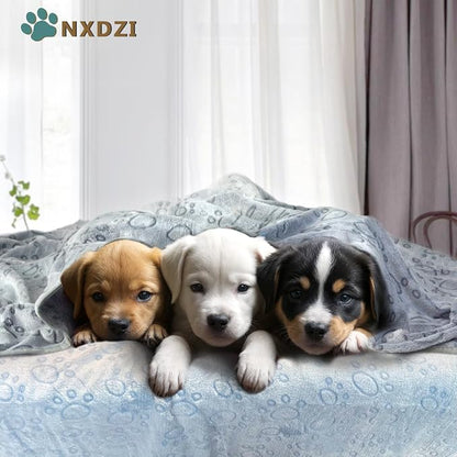 Dog Blankets for Small Medium Dogs Washable, 3 Pack Pet Blanket Washable 30" x - Image 3