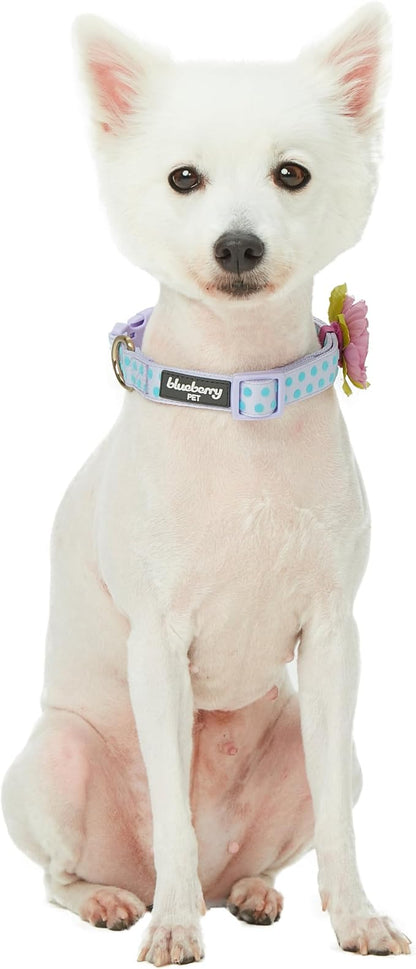 Blueberry Pet Flocking Dog Collar, Small Girl Dog Collar - Image 7