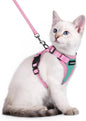 rabbitgoo Cat Harness and Leash Set, Escape Proof Soft Adjustable Vest Harnesses by rabbitgoo