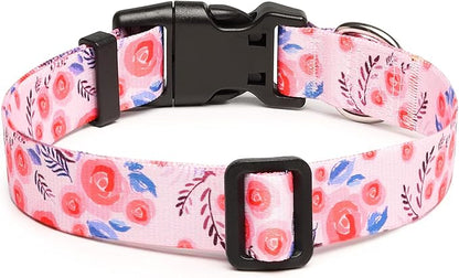 Mercano Adjustable Dog Collar - Image 2