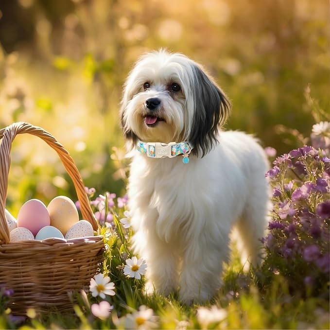 Easter Dog Collar for Large Dogs - Image 7