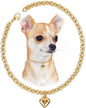 HOWWFALY Dog Collar and Cat Chain Necklace Stainless Steel Adjustable 18K Gold by HOWWFALY