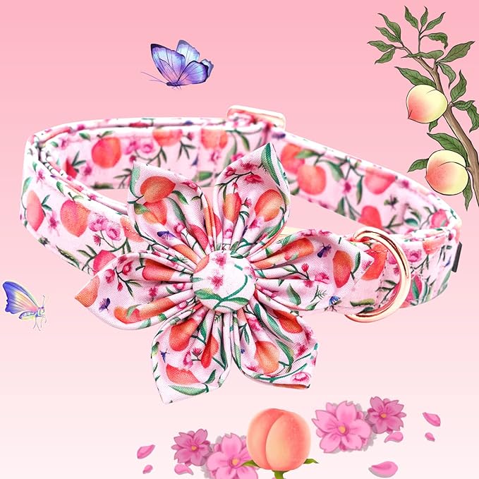 Lionheart Glory Pink Peach Dog Collar - Image 3