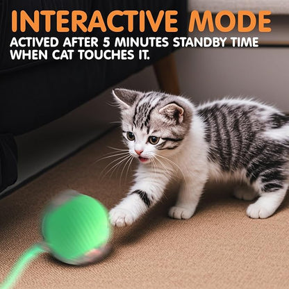 Rocfish Durable Interactive Cat Toys - Image 6