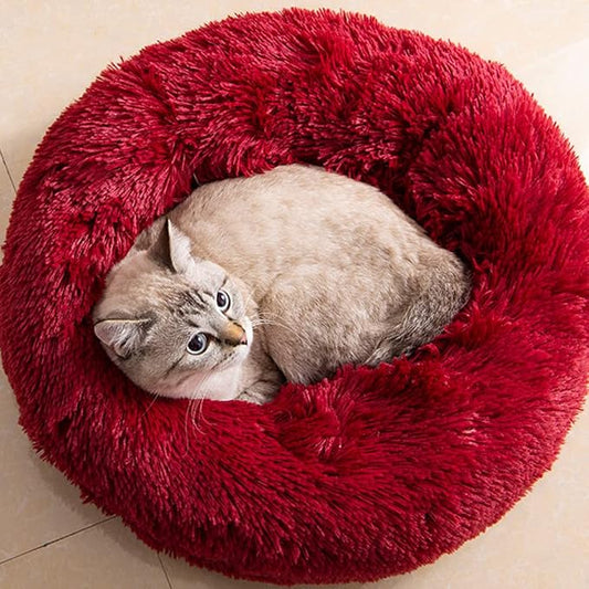 Cat Beds for Indoor Cats by Unknown