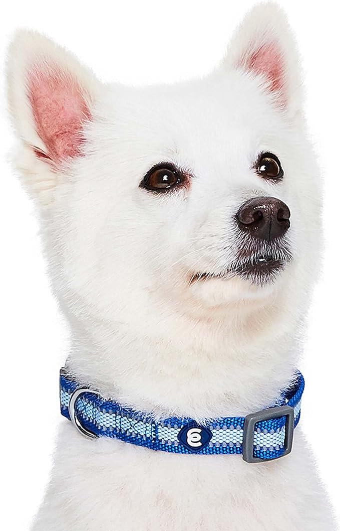 Blueberry Pet Small Dog Collar in Reflective Navy Blue | Adjustable Nylon Strap - Image 3