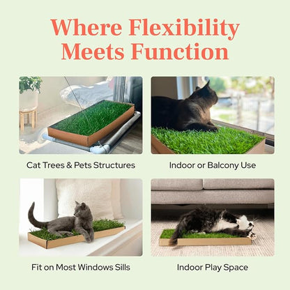 Kitty Lawn Real Grass Cat Window Perch - Image 8