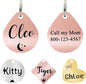 Ultra Joys Cat ID Tag Personalized Pet Tags, Durable Stainless Steel Small Pet by UltraJoys