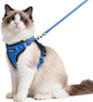 rabbitgoo Cat Harness and Leash by rabbitgoo