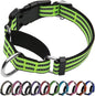 Martingale Dog Collar, Adjustable Nylon Reflective Collar by JOYEEIIOO