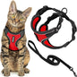 Voyager Escape-Proof Step-in Lock Cat Harness & 5ft Neoprene-Handle Leash Set by BestPetSuppliesLLC