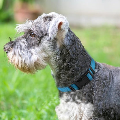 Joytale Reflective Dog Collar, Soft Neoprene Padded, Metal D-Ring, Nylon Pet - Image 2