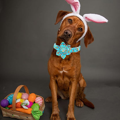 Lionheart glory Easter Day Dog Collar - Image 5