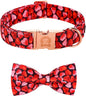 MR. CHUBBYFACE Valentines' Dog Collar by MrChubbyfacePetSupplies