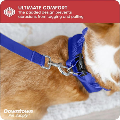 Downtown Pet Supply Step-in Dog Harness – No Pull, Adjustable Padded Mesh - Image 6