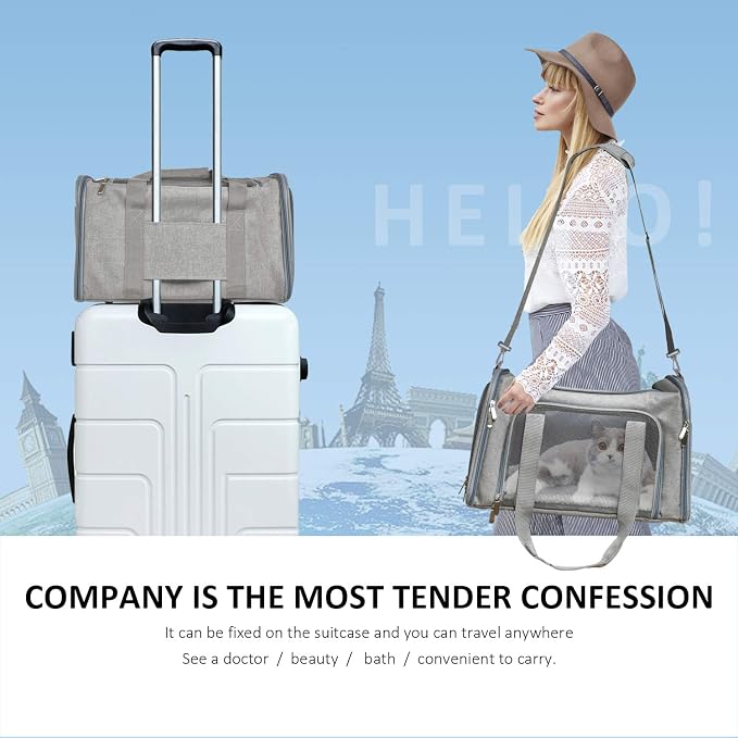 Henkelion Large Cat Carriers Dog Carrier Pet Carrier - Image 6