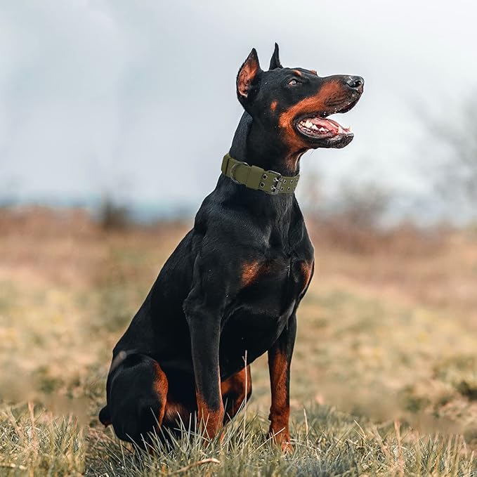 Tactical Dog Collar with Handle, Military Adjustable Heavy Duty Metal Buckle - Image 7