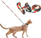 pidan Cat Harness and Leash Set, XL Size by pidan