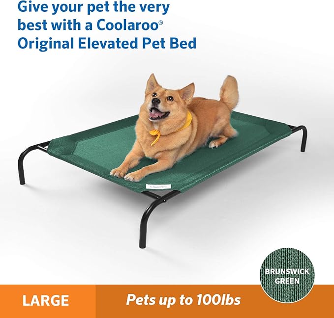 Gale Pacific Coolaroo The Original Cooling Elevated Dog Bed, Indoor and Outdoor - Image 2