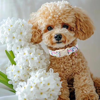 Floral Dog Collar for Small Dogs - Image 2