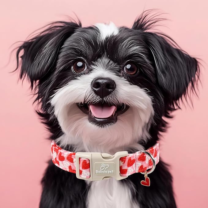 Valentines Dog Collar for Giant Large Dogs - Image 7