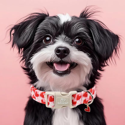 Valentines Dog Collar for Giant Large Dogs - Image 7