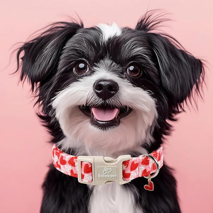 Valentines Dog Collar for Small Dogs - Image 7