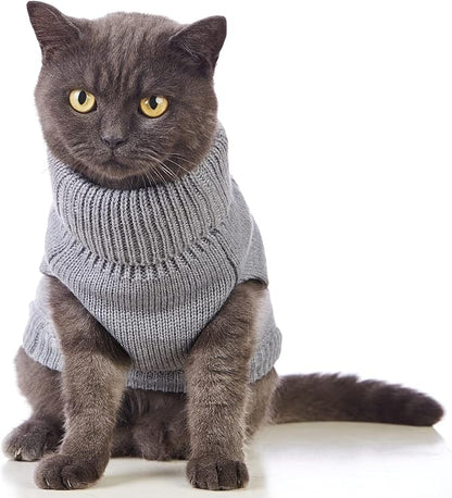 Stretchy Cat Sweater - Image 2