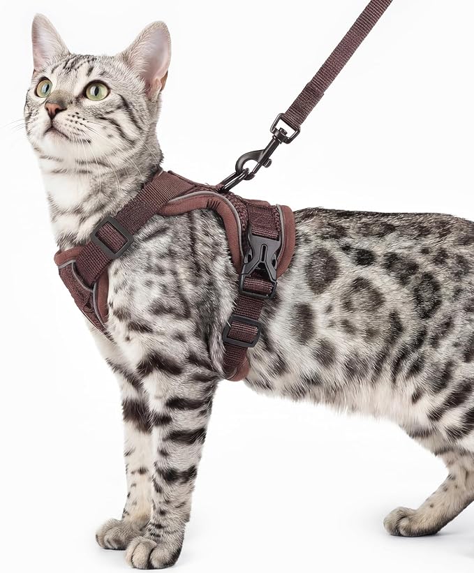 Cat Harness and Leash Set Escape Proof Tactical Medium Kitten Harness Emotional by pangdi