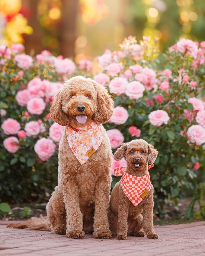 Remy+Roo Extra Large Spring Dog Bandanas - Image 2