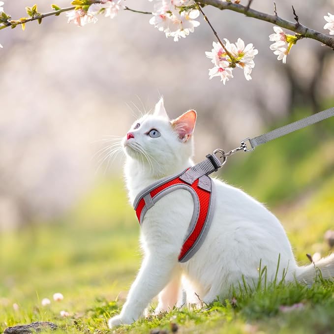 SCENEREAL Cat Harness and Leash Set Escape Proof, Adjustable Soft Air Mesh - Image 6