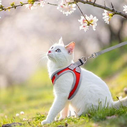 SCENEREAL Cat Harness and Leash Set Escape Proof, Adjustable Soft Air Mesh - Image 5