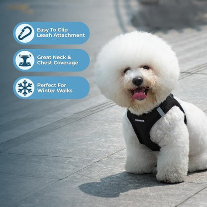 Best Pet Supplies - Image 5