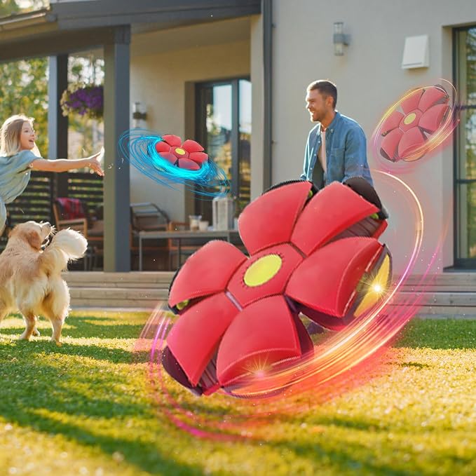 Dog Flying Disc Toy, Flying Saucer Ball - Image 4