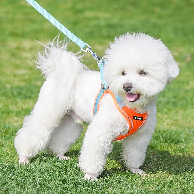 AIITLE Step in Dog Harness and Leash Set - Image 7