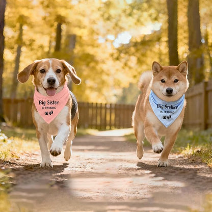 2 Pack Dog Bandana Pregnancy Announcement, Big Brother Sister in Training - Image 6