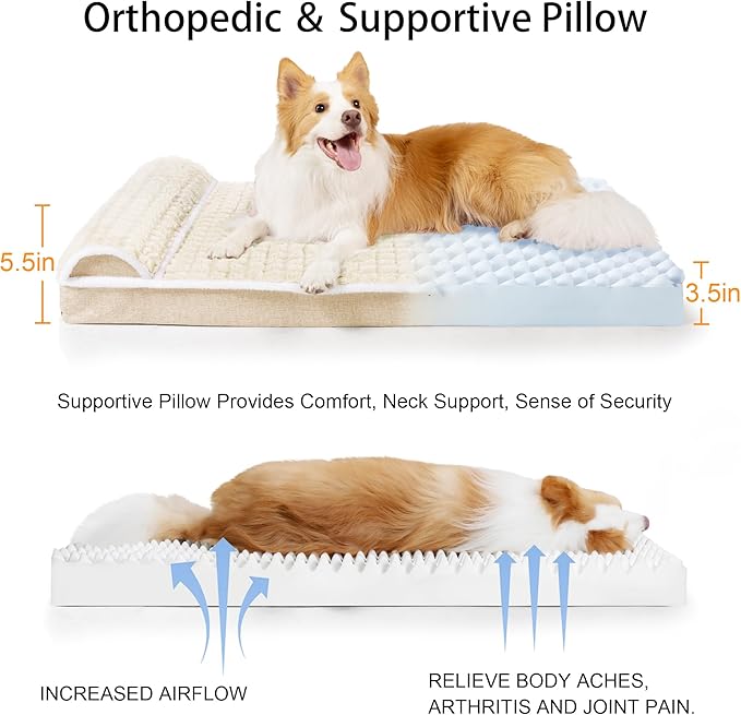 Orthopedic Dog Bed Large Sized Dog - Image 6