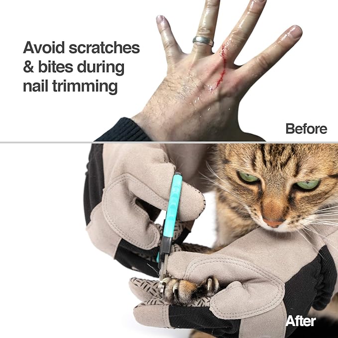 PetFusion Multipurpose Pet Grooming Gloves Great - Image 3