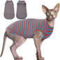 BRKURLEG Hairless Cats T Shirt, Cat Sweaters, Pullover Kitten Shirts, by BRKURLEG