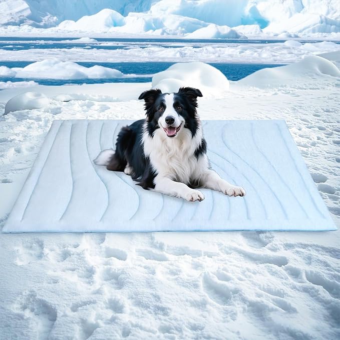BECEMURU Dog Cooling Mat in Summer & Plush Warm Blanket in Winter, 2-Sided by BECEMURU
