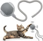 Interactive Cat Dog Toy Ball: Indoor Small Automatic Moving Smart Rolling Fun by AEBDERP