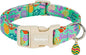 Easter Dog Collar for Small Dogs, Adjustable Green Small Dog Collar by Unknown